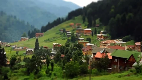 Şehirden Köye Taşınma Serüveni: 500 m² ile Yeni Başlangıç