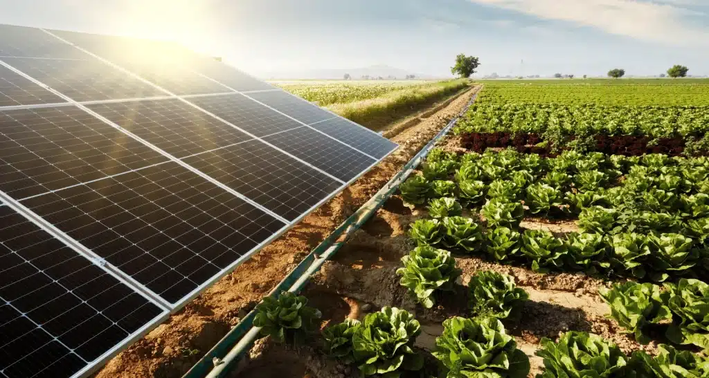 Enerji Bakanlığı’ndan Güneş Enerjili Tarım Alanlarına Teşvik Paketi